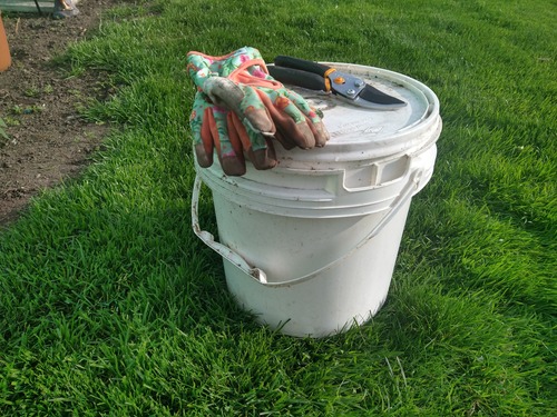 A bucket with gardening gloves and shears on top