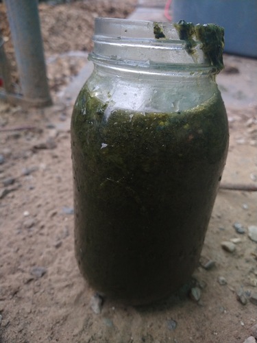 A mason jar filled with finished tea