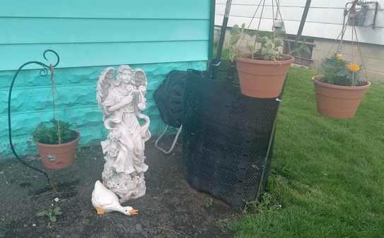 Some hanging planters. There is a compost pile and large statue of an angel